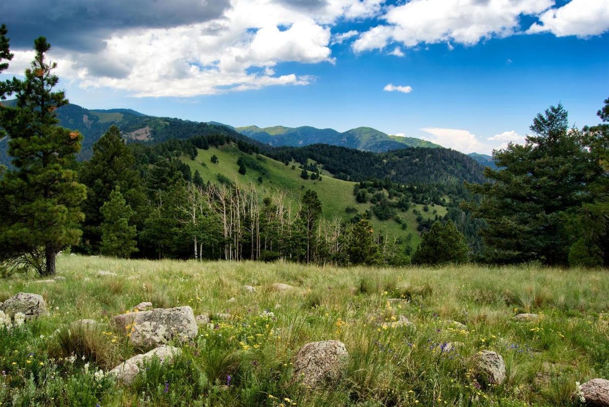 Alpine Cabin, 3 Bedrooms, Deck, Sleeps 8 Ruidoso Luaran gambar